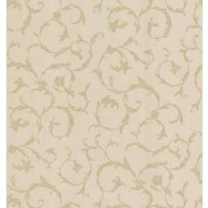  Brewster Wallcovering Scroll Wallpaper SAC8089: Home 