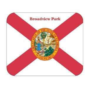   State Flag   Broadview Park, Florida (FL) Mouse Pad 