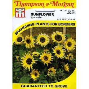   Morgan 6310 Sunflower Moonwalker Seed Packet Patio, Lawn & Garden