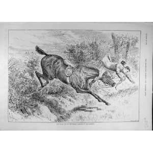  1891 First Jump Season Horse Rider Fall Old Print