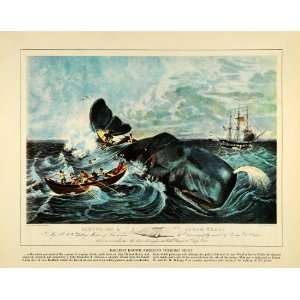   Whaler Art J Hill Rotch Boat   Original Color Print