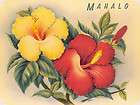 10 HAWAIIAN NOTE CARDS Thank you Mahalo HAWAII HIBISCUS