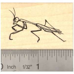  Praying Mantis Rubber Stamp Insect, Bug, Garden Arts 