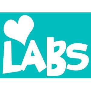  Imagine This Car Window Decal, Heart Labs: Pet Supplies