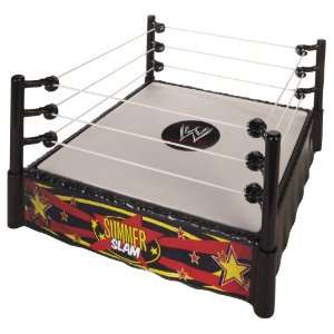  WWE Summer Slam Superstar Ring Toys & Games