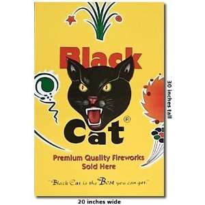  Fireworks Firecracker Black Cat Poster Posters