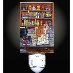  Cat Magic Decorative Night Light: Home Improvement