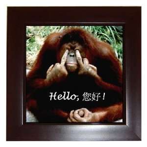  Chinese Hello Funny Ape Orangutan Collectible Framed Tile 