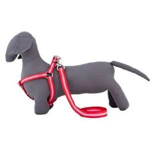  Rufus and Coco RCBH Bronte Dog Harness Size: Small (12 L 