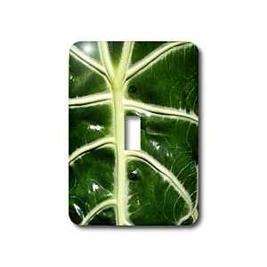 Florene Macro Plant   Green Envy   Light Switch Covers   single toggle 