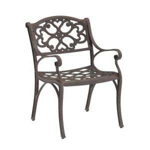   Styles Brown Outdoor Patio Arm Chair (Set of Two): Kitchen & Dining