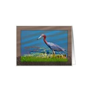  Birthday, 88th, Little Blue Heron Bird Card: Toys & Games