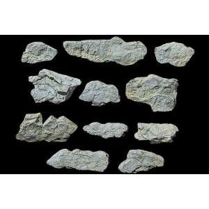   Woodland Scenics WS 1231 Rock Mold Surface Rocks   5 x 7 Toys & Games