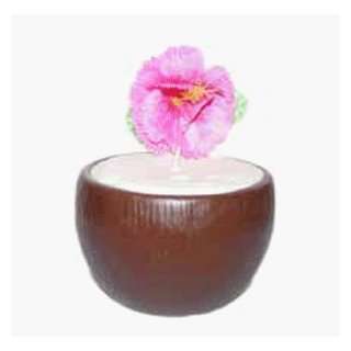  Coconut Coconut Scented Cocktail Candle