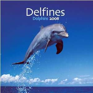  Dolphins (Spanish) 2008 Wall Calendar: Office Products