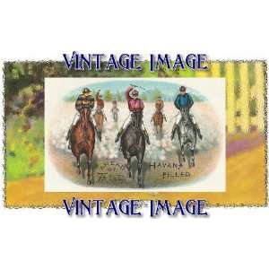  Pack of 4, 6 inch x 4 inch (14 x 10 cm) Gloss Stickers Horses Ahead 