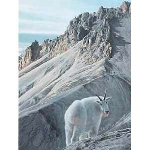  Ron Parker   Rampart   Mountain Goats