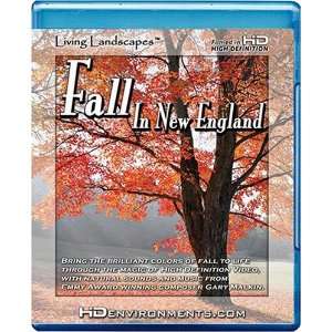  FALL IN NEW ENGLAND Movies & TV