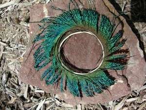 STAR BURST PEACOCK ~ MADE OF SWORD FERN FEATHERS  