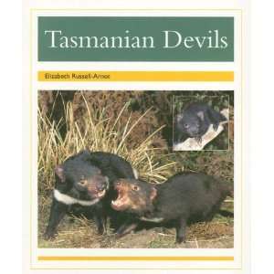  Tasmanian Devils (PM Animal Facts Nocturnal Animals 