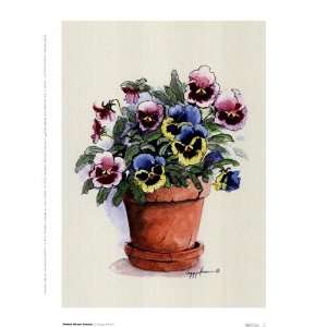 Potted Mixed Pansies Poster Print 