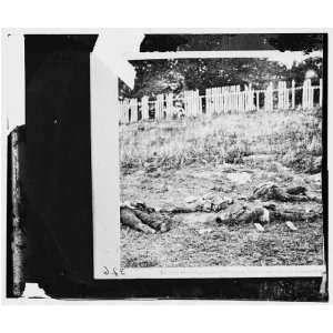 : Civil War Reprint Antietam, Maryland. Dead soldiers on battlefield 