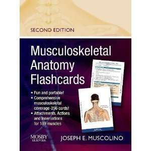  Musculoskeletal Anatomy Flashcards [Cards]:  N/A : Books