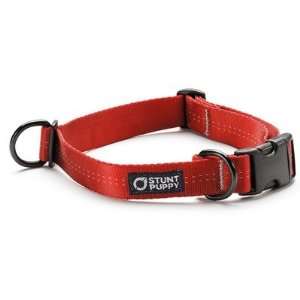   Dog Collar Size: Adjusts from 14 21, Color: Red: Pet Supplies