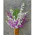 Flowers & Plants  Overstock Buy Plants, Fresh Flowers, & Potted 
