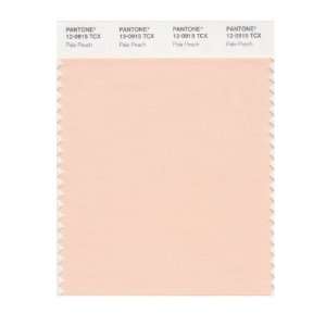  PANTONE SMART 12 0915X Color Swatch Card, Pale Peach: Home 