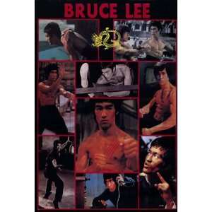  Bruce Lee Movie Poster (27 x 40 Inches   69cm x 102cm 