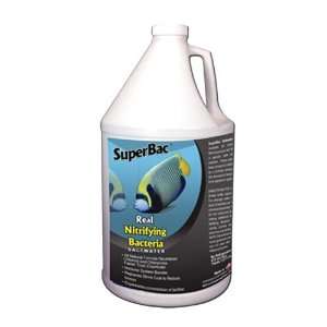  Superbac Live Nitrifying Bacteria Saltwater   1 Gallon 
