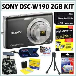 Sony Cybershot DSC W190 12.1MP Digital Camera in Black + 2GB Accessory 