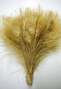 100 Pcs BLEACHED PEACOCK TAILS Feathers 10 12 Crafts  