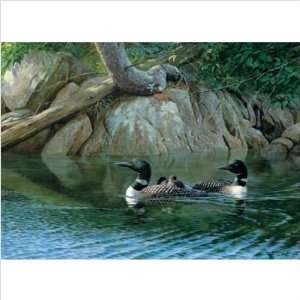 WeatherPrint 11082 Spring on Eagle Lake Common Loons Outdoor Art 