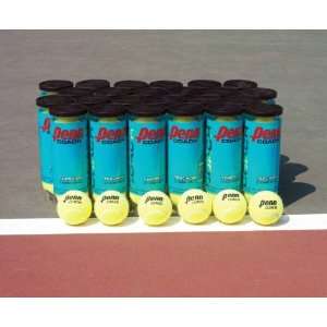  Penn Tennis Balls   Coach Practice Balls, Case Pack 