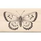 Inkadinkado Mounted Rubber Stamp 1.75X3  Big Butterfly
