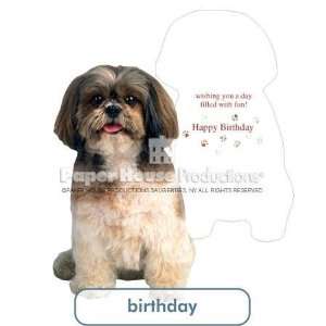   Shih Tzu Birthday Card Paper House Productions: Health & Personal Care