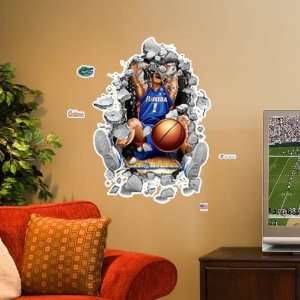   Florida Gators 3 Basketball Player Wall Crasher: Sports & Outdoors