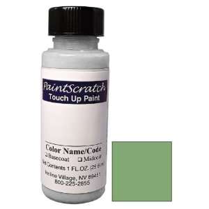   Up Paint for 1995 Ford Aerostar (color code: FE/M6641) and Clearcoat