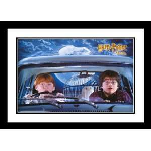 Harry Potter and the Chamber 20x26 Framed and Double Matted Movie 