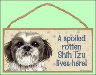 Spoiled Shih Tzu Puppy 10x 5 Lives Here Dog Sign  