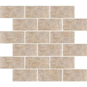   700 Padova 12 x 10 Subway Mosaic Accent Tile in Brown Toys & Games