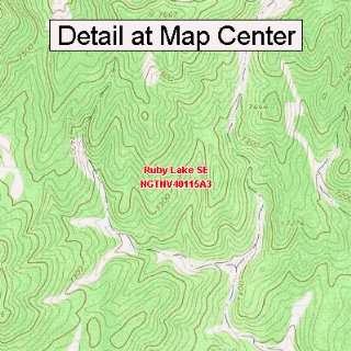 USGS Topographic Quadrangle Map   Ruby Lake SE, Nevada (Folded 