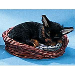  Chihuahua Dog Puppy W/Basket Sleeping Lifelike Collectible 