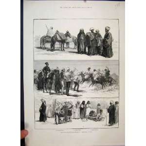    1884 English Occupation Egypt Donkey Snake Bedouin