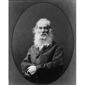  Walt Whitman,1819 1892,American Poet,Father of Free Verse 