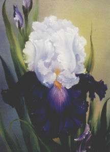Bob Ross Painting Packet~Floral~Iris  