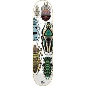 Stacks Reese Forbes Beetles Medium Skateboard Deck   8 x 31.5 