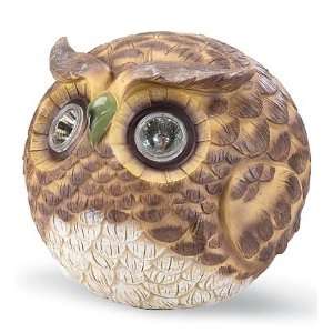  Solar Powered Owl Accent With Light Up Eyes: Home 